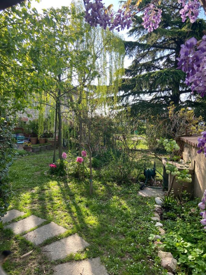 דסנזאנו דל גארדה Monte Maino Bed & Breakfast מראה חיצוני תמונה