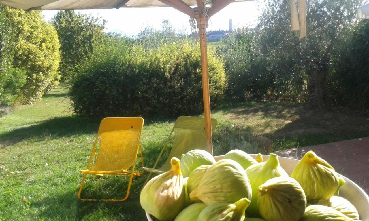 דסנזאנו דל גארדה Monte Maino Bed & Breakfast מראה חיצוני תמונה